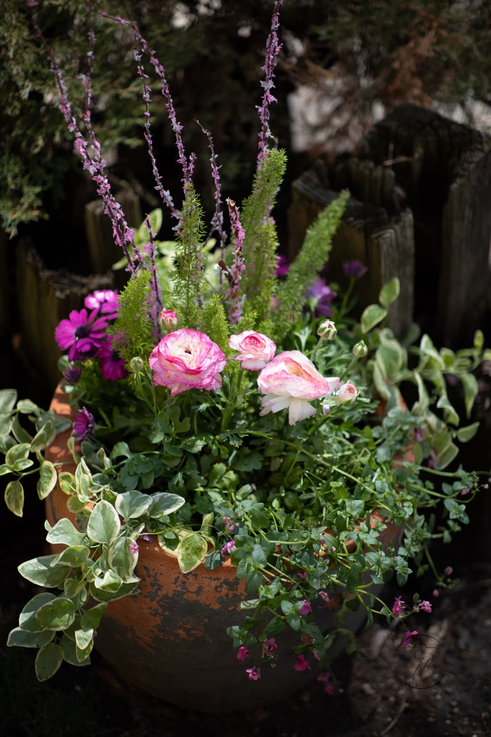 Rustic Terracotta Garden